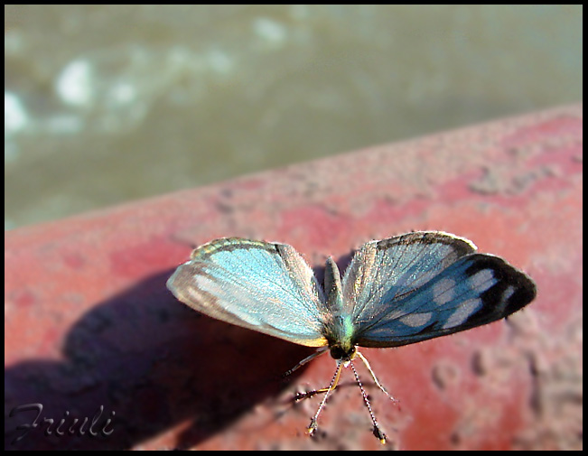 DSC02385_copiar.jpg