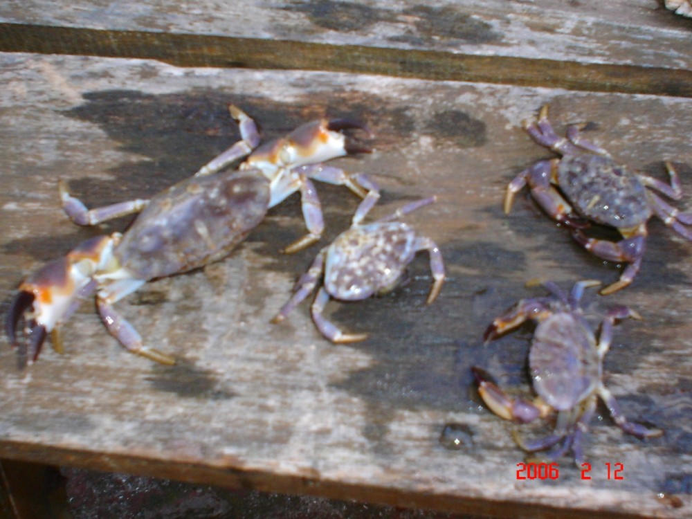 Dsc02386.jpg