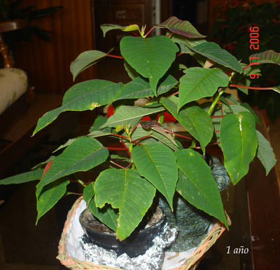 DSC02399_copia.jpg