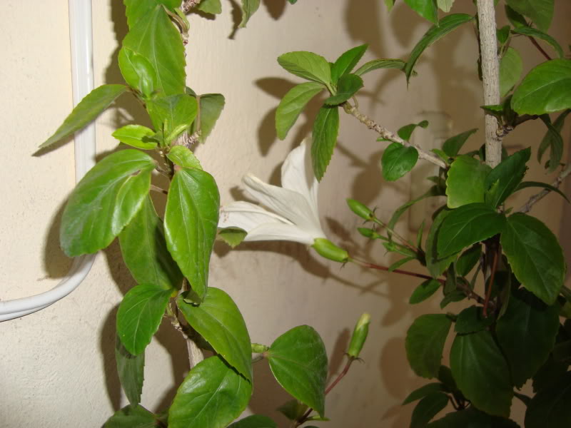 DSC02430.jpg