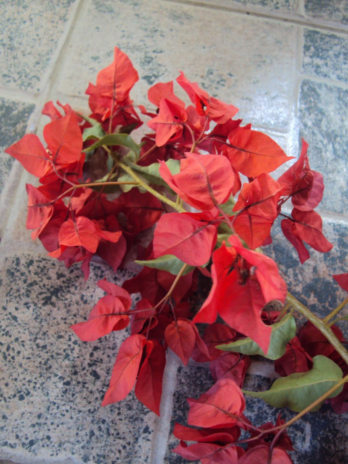 DSC02468a.JPG