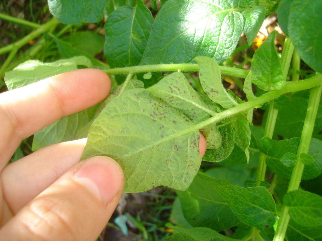 DSC02469.jpg