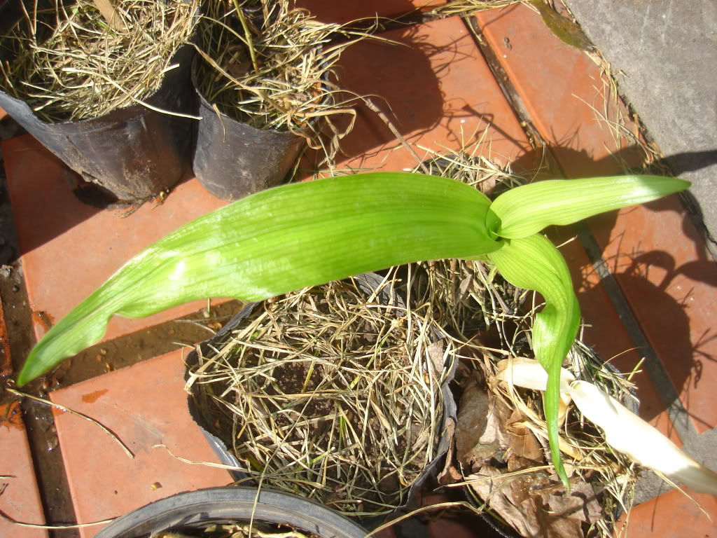 DSC02476.jpg
