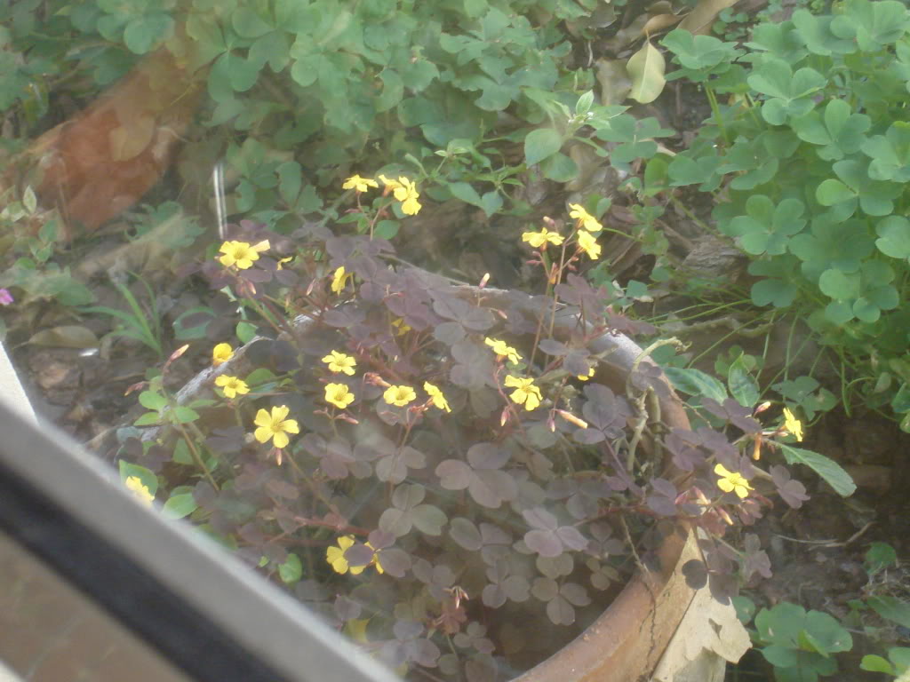 DSC02480.jpg