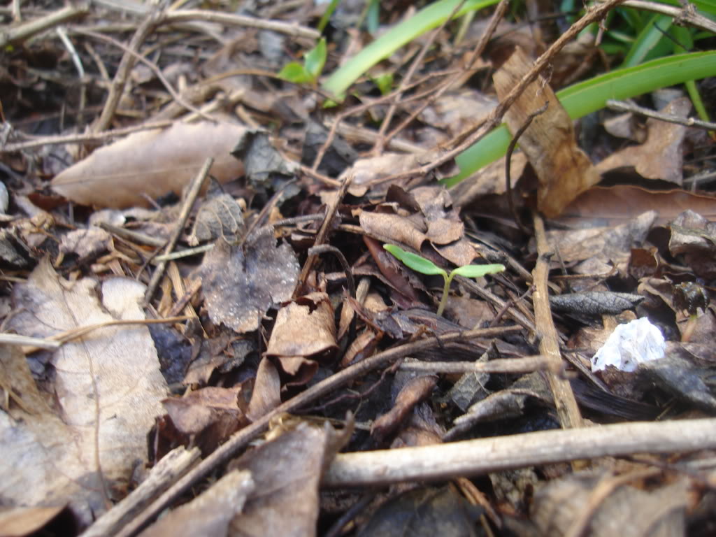 DSC02495.jpg