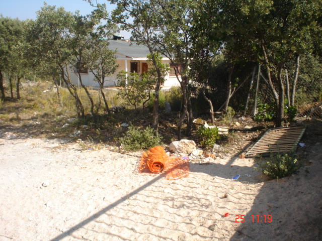 Dsc02514.jpg
