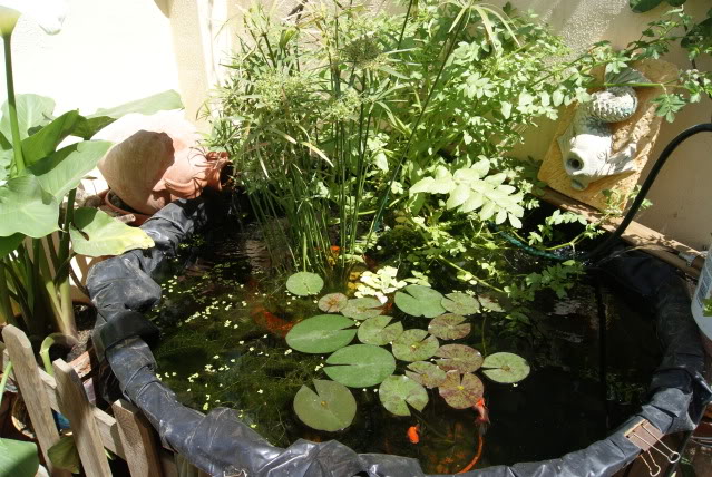 DSC02515.jpg