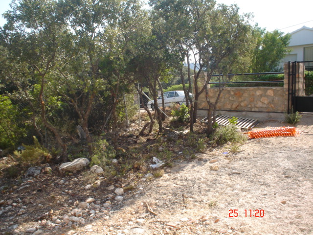 Dsc02515.jpg