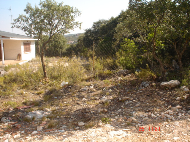 Dsc02516.jpg