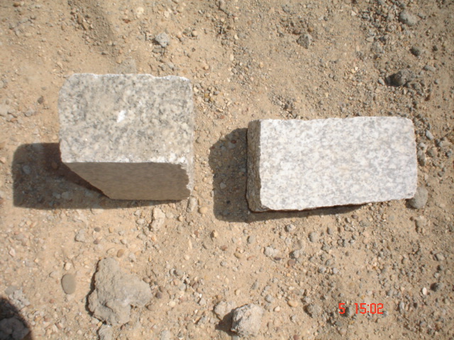 Dsc02524.jpg