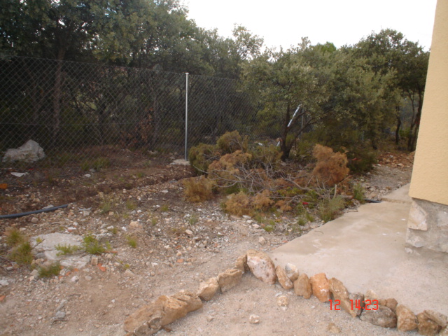 Dsc02535.jpg