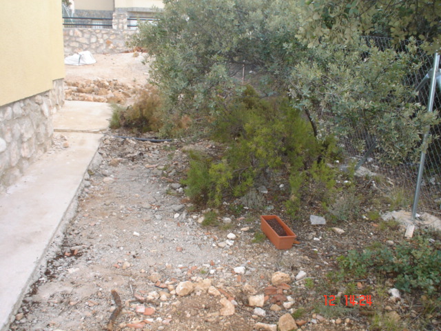 Dsc02538.jpg