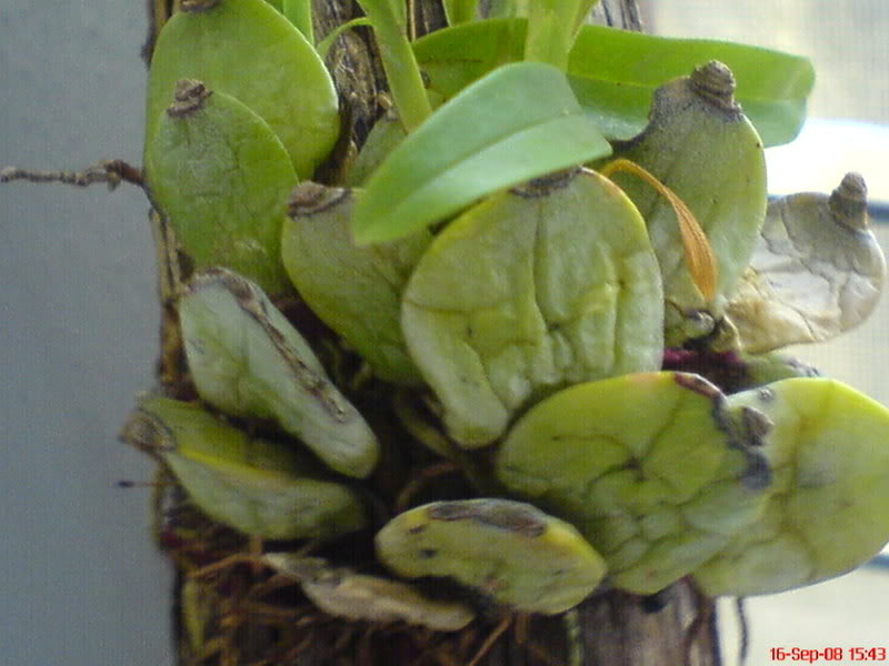 DSC02552.jpg