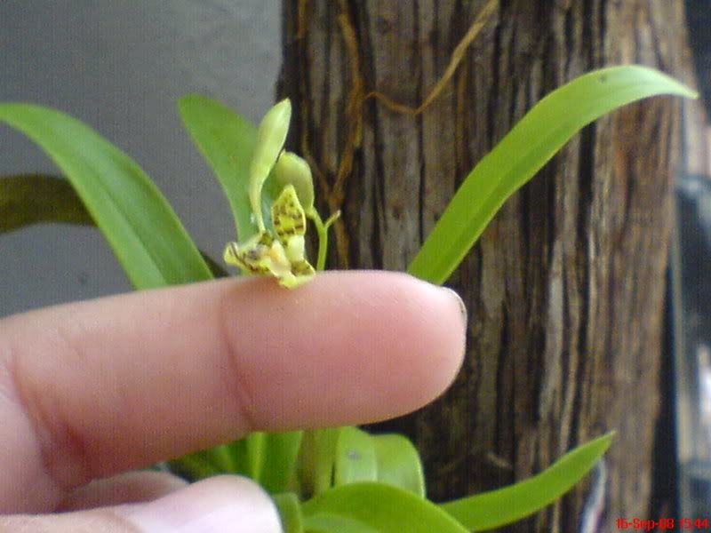 DSC02556.jpg