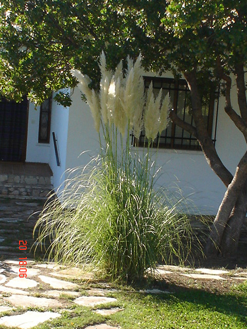 Dsc02562.jpg