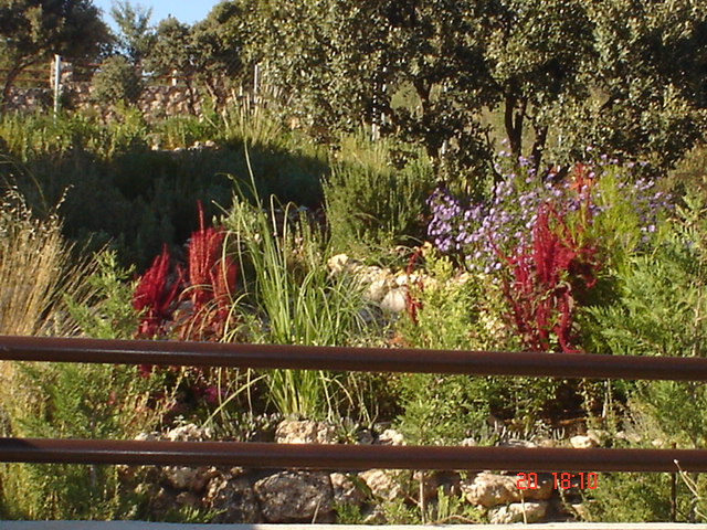 Dsc02564.jpg