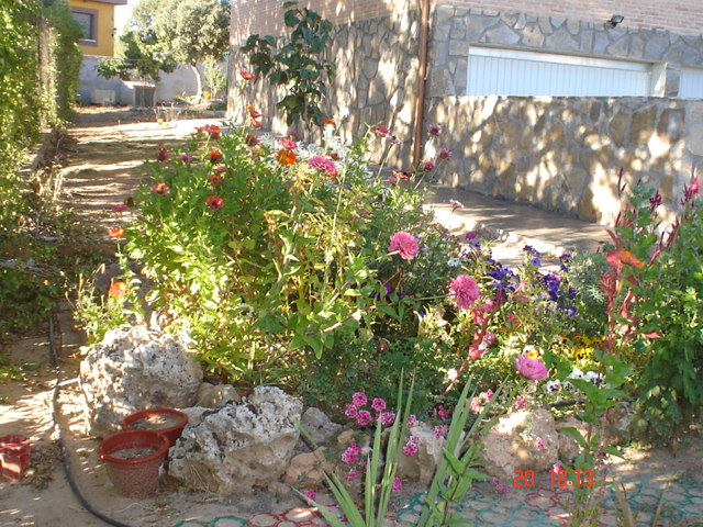 Dsc02567.jpg