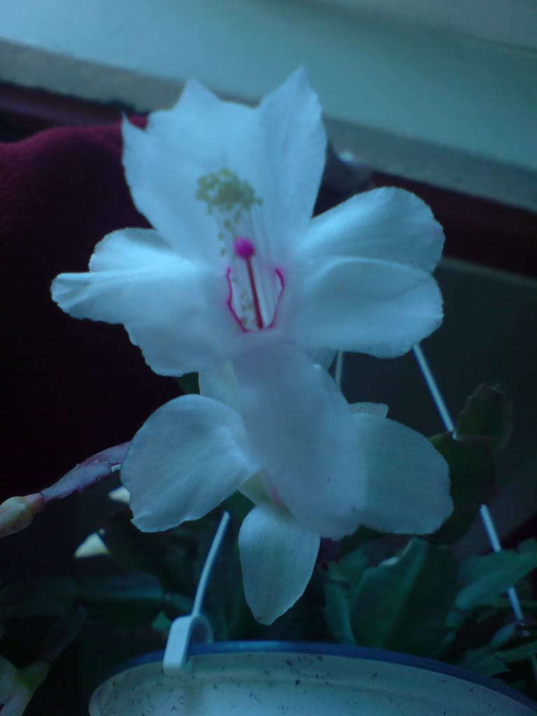 DSC02572.jpg