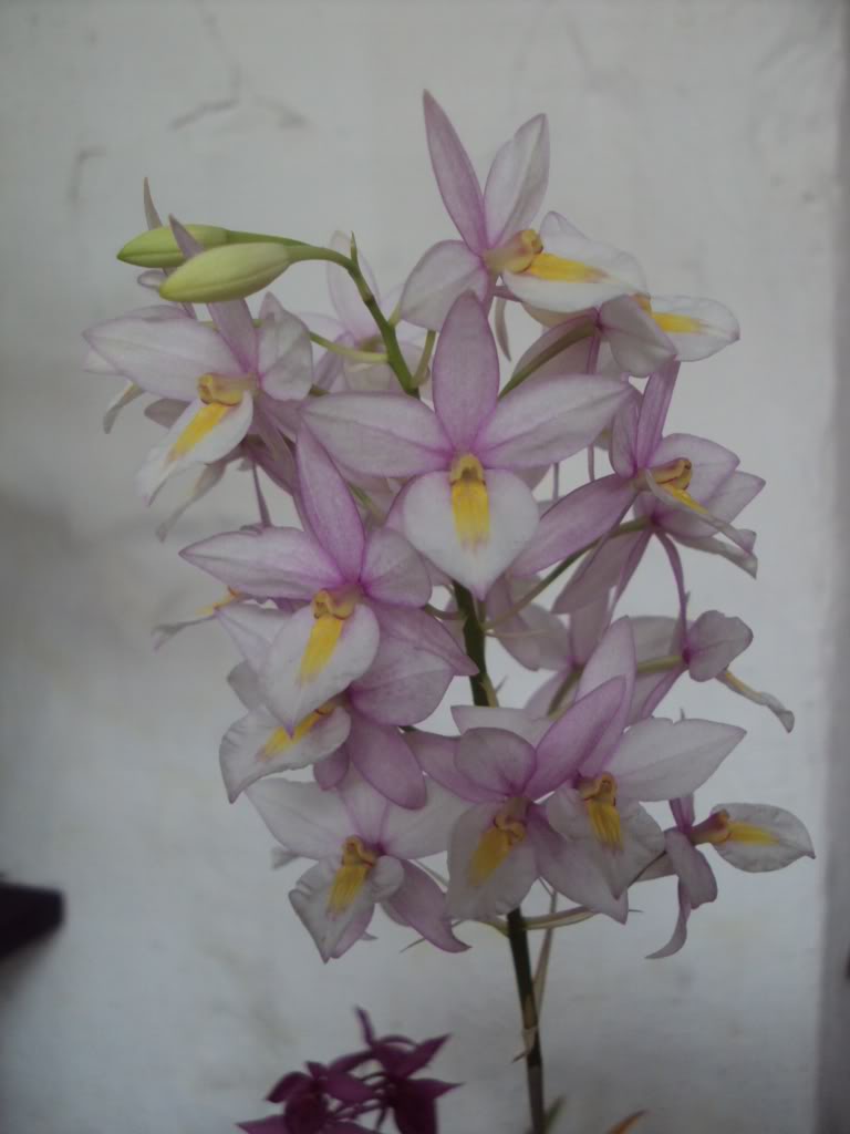 DSC02573.jpg