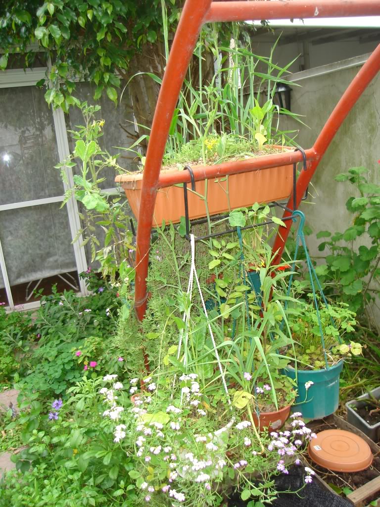 DSC02648.jpg