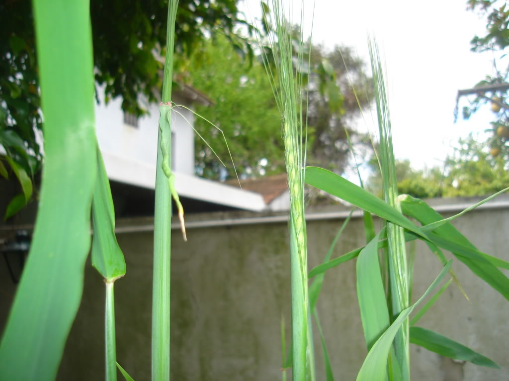 DSC02654.jpg