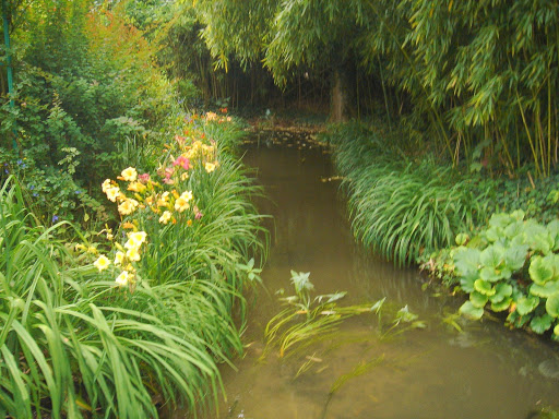 DSC02697.JPG