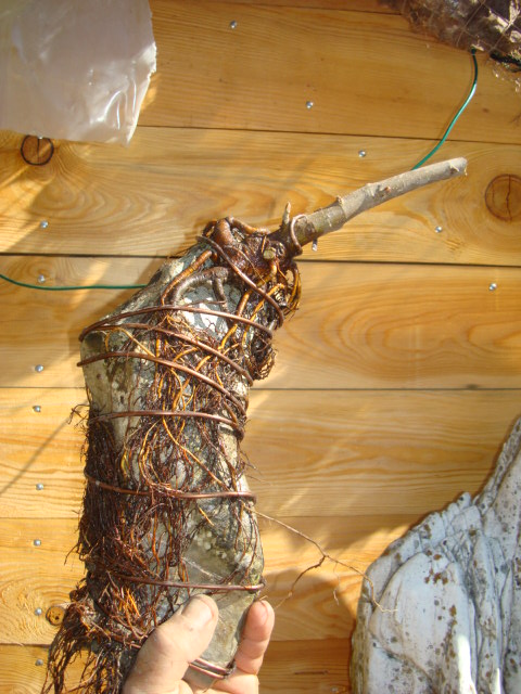 dsc02710.jpg