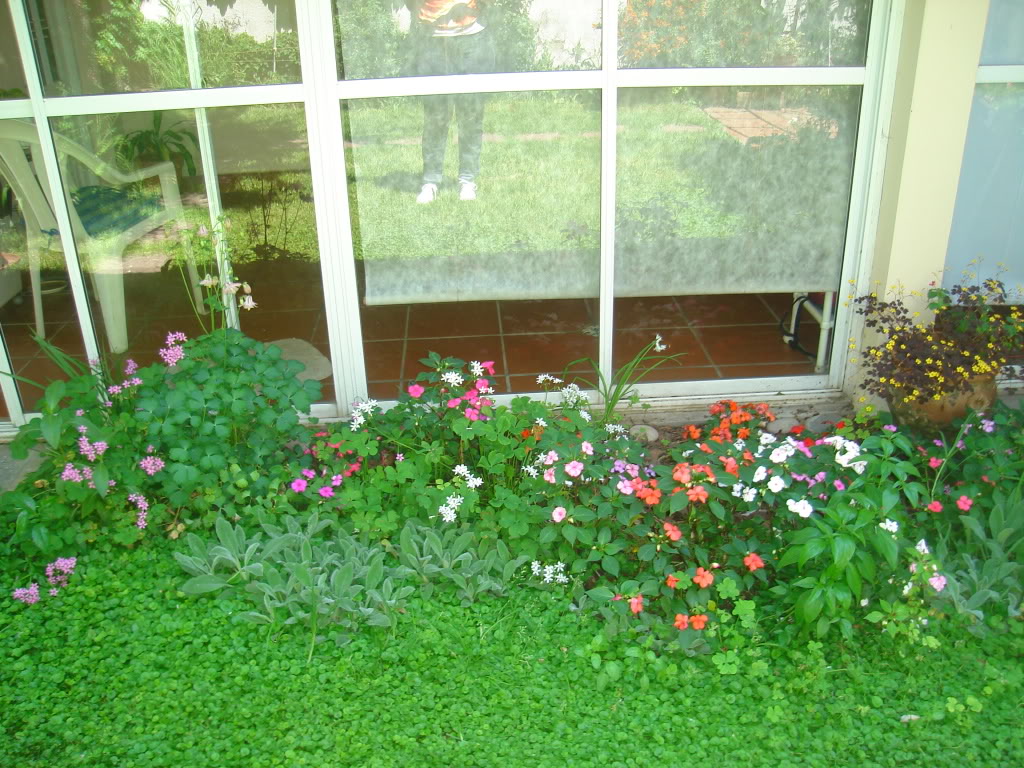 DSC02734.jpg