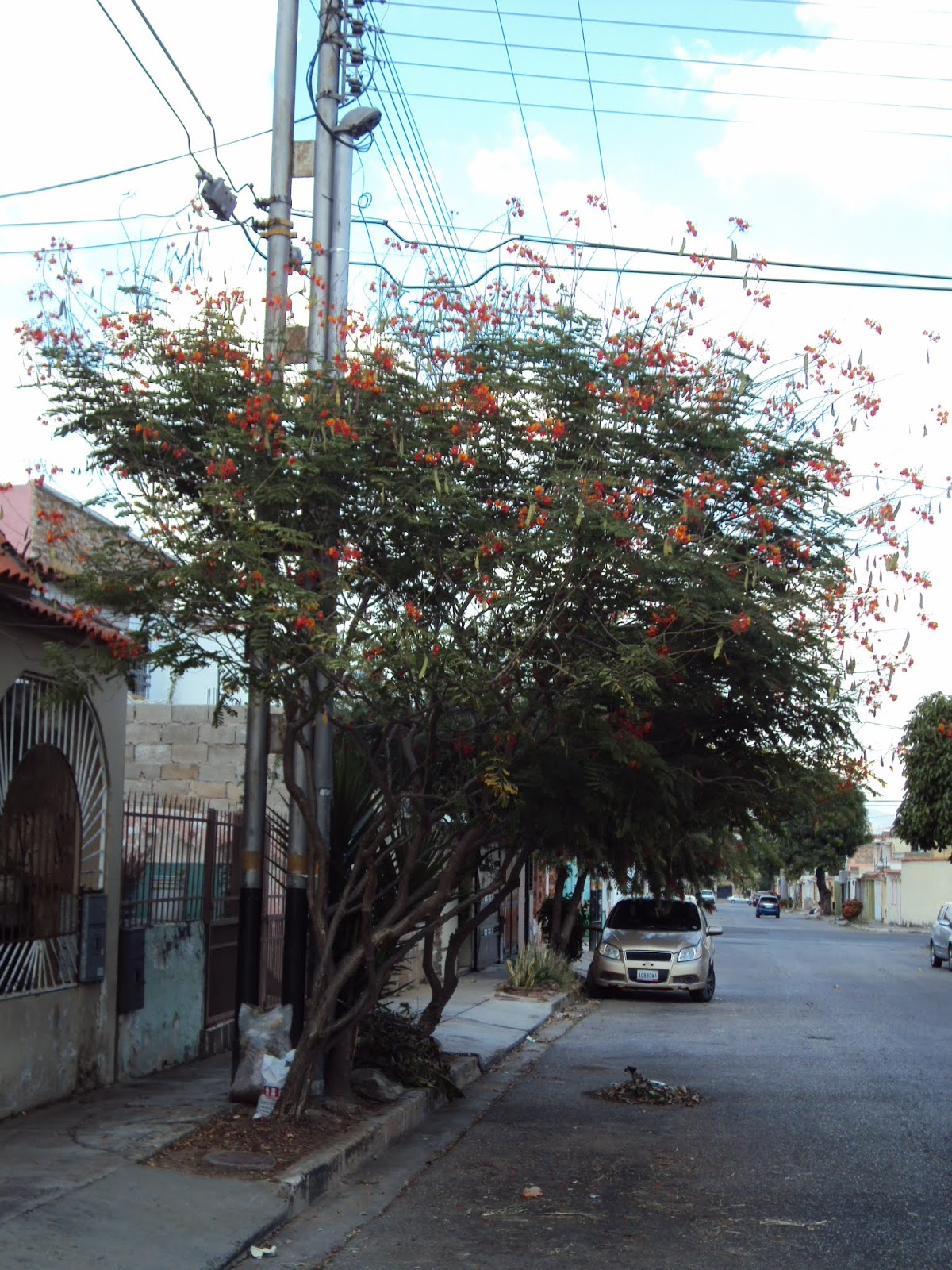 DSC02734.JPG