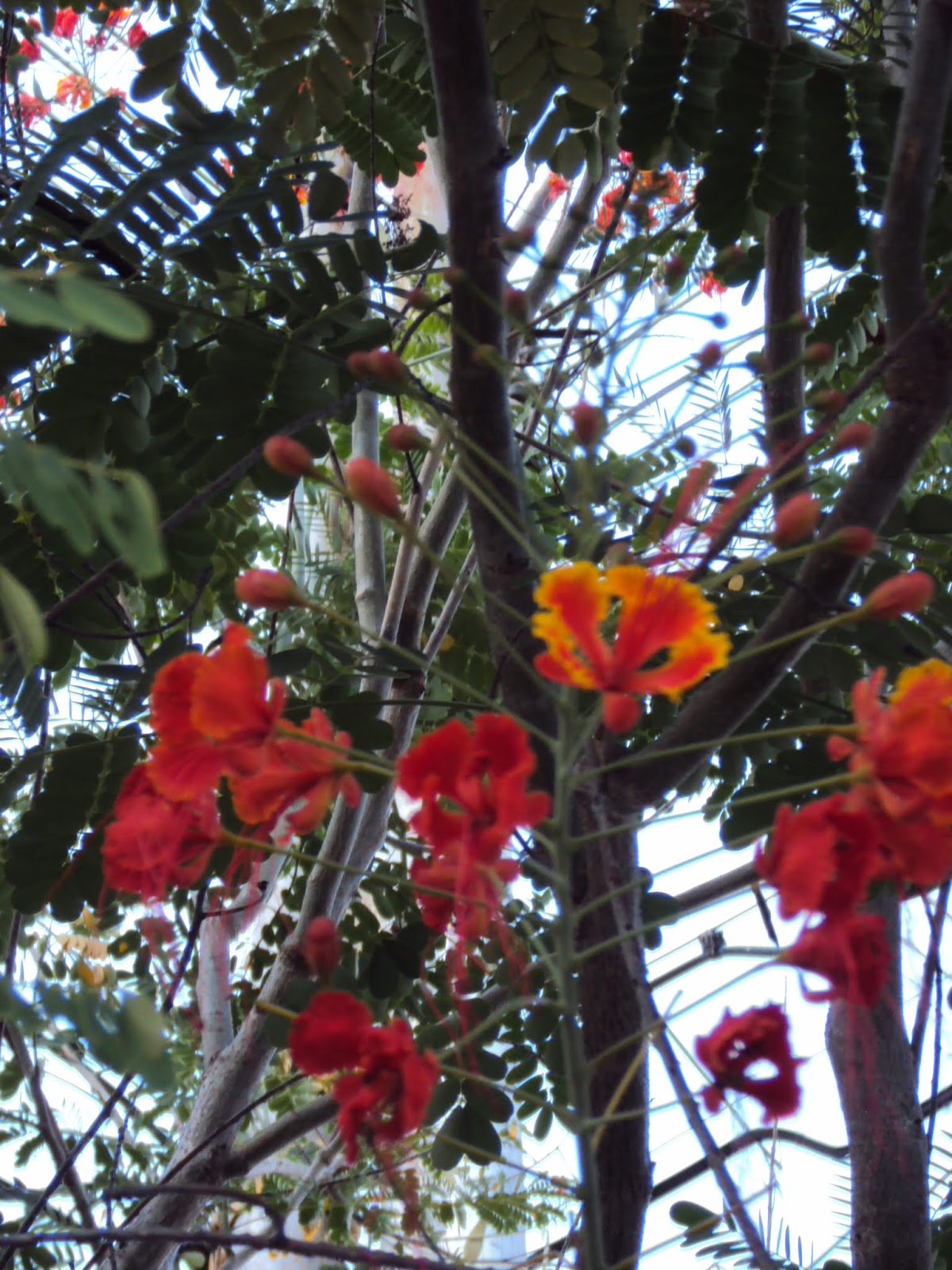 DSC02738.JPG