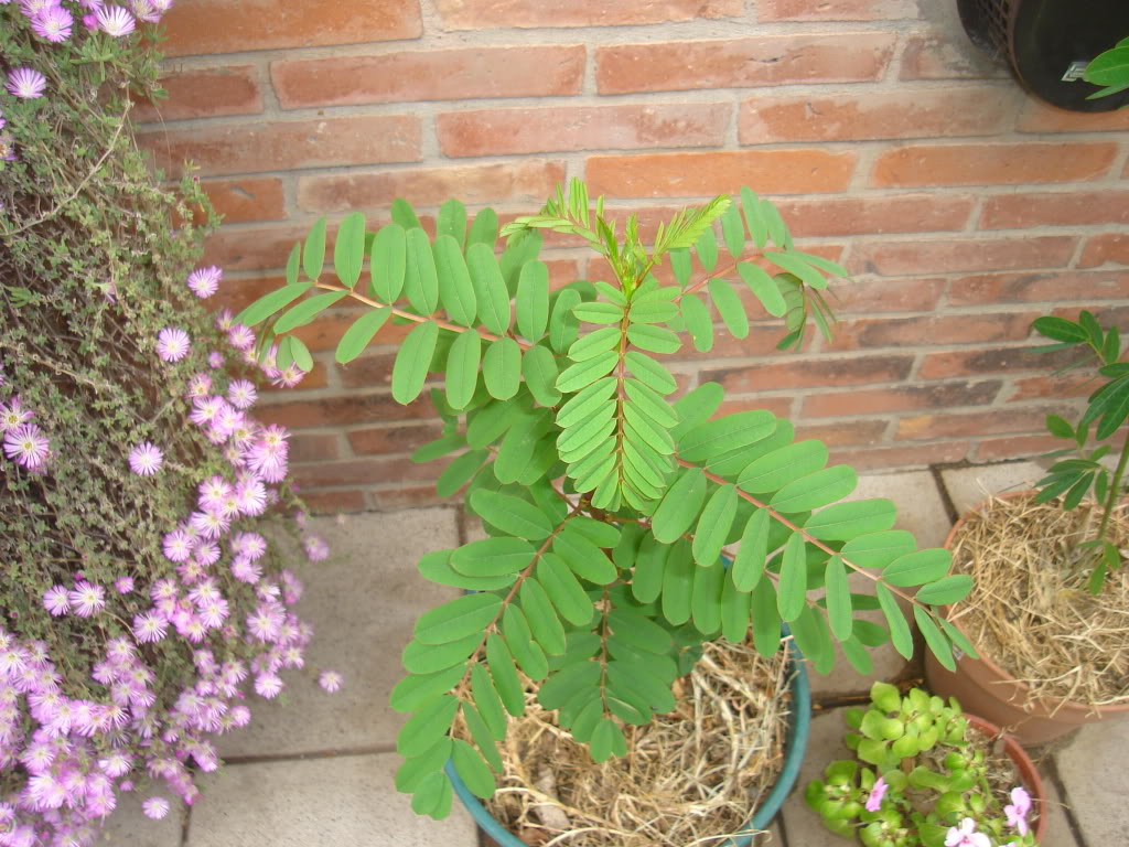 DSC02741.jpg