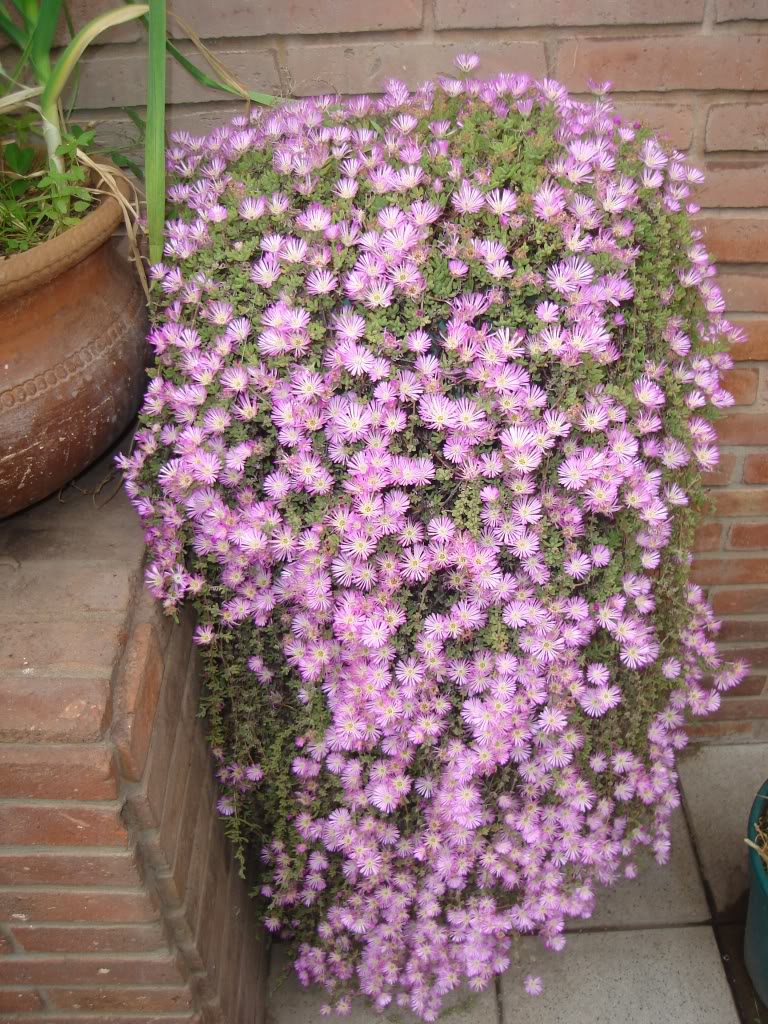 dsc02743-jpg.270031.jpg