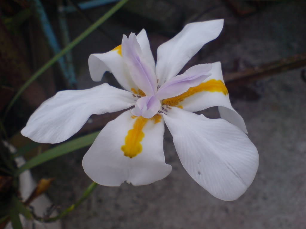 DSC02744.jpg