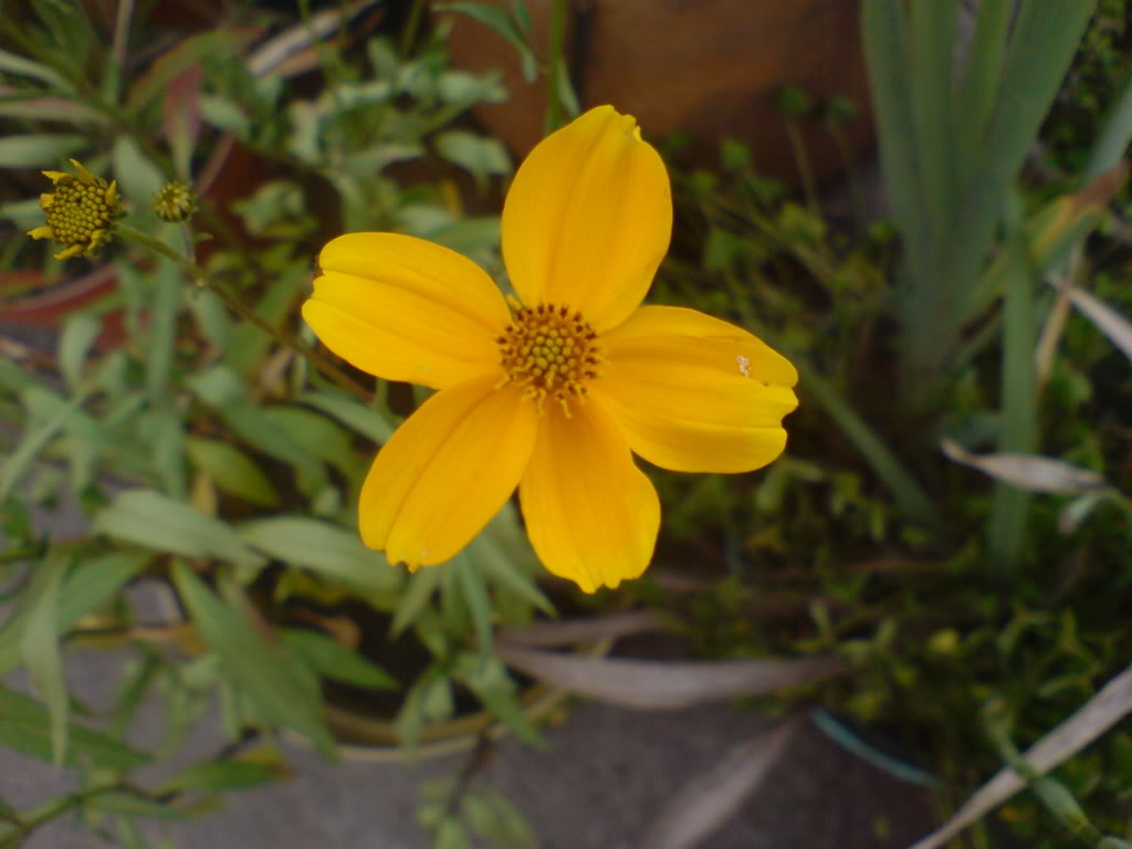 DSC02746.jpg
