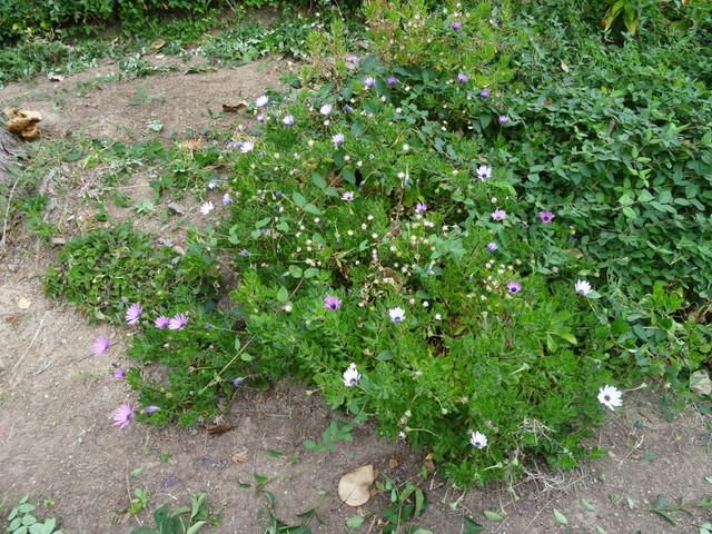DSC02777.jpg