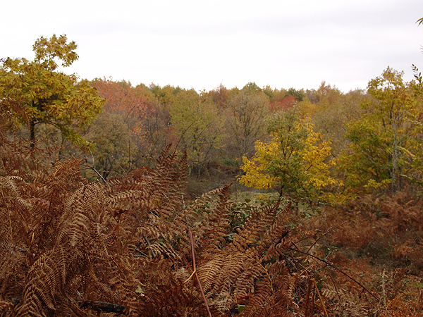 DSC02795.jpg