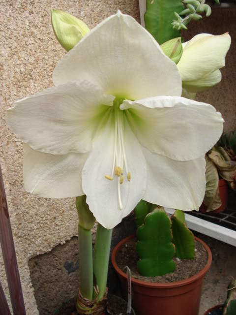 DSC02799.jpg