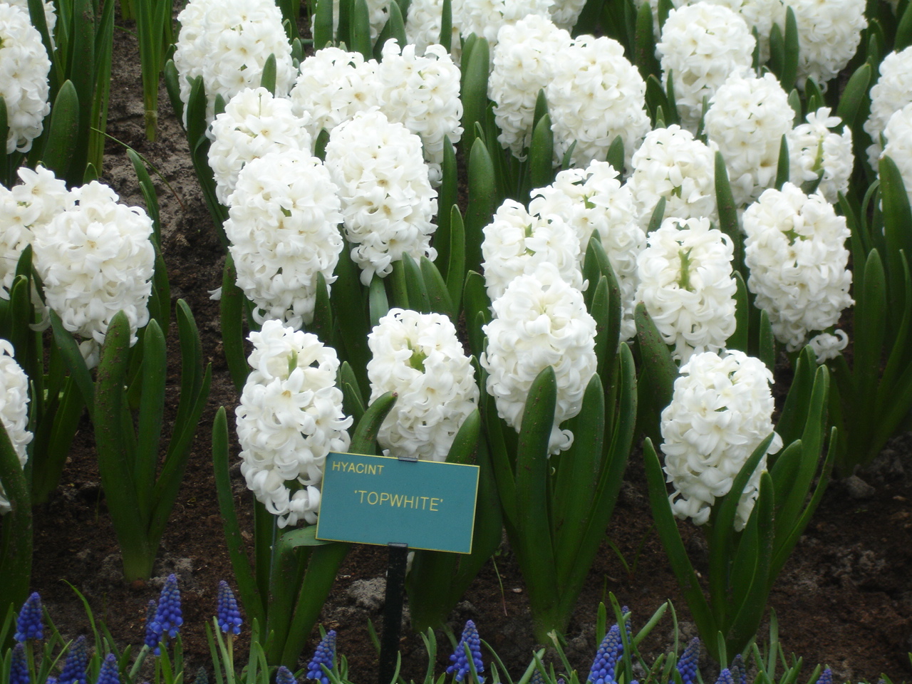 DSC02800.JPG