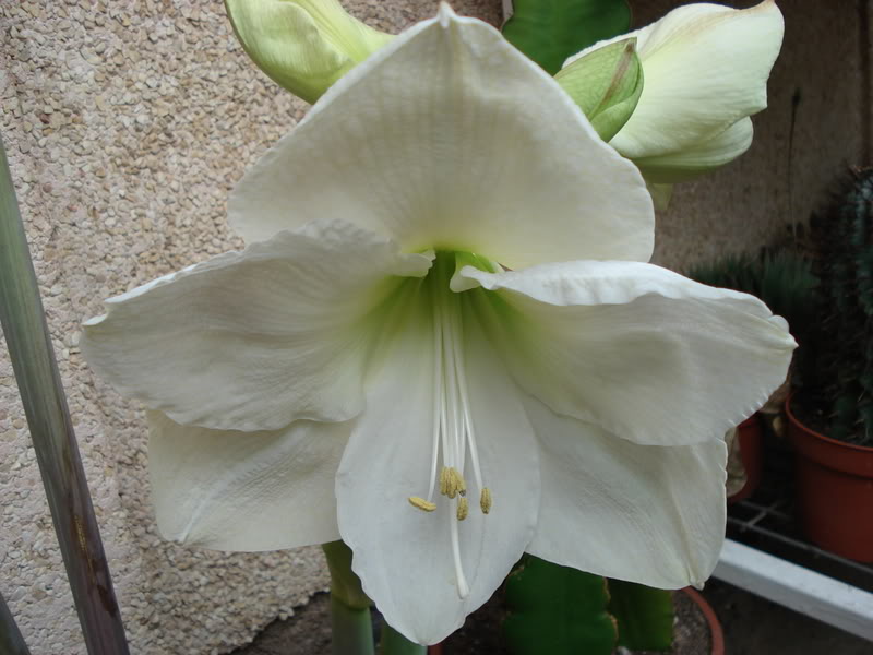 DSC02805.jpg