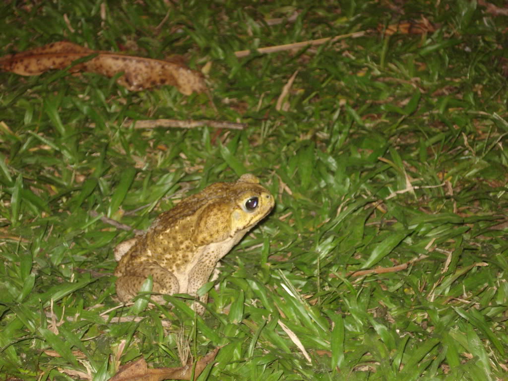 DSC02811.jpg
