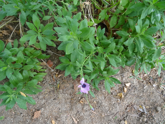 DSC02815.jpg
