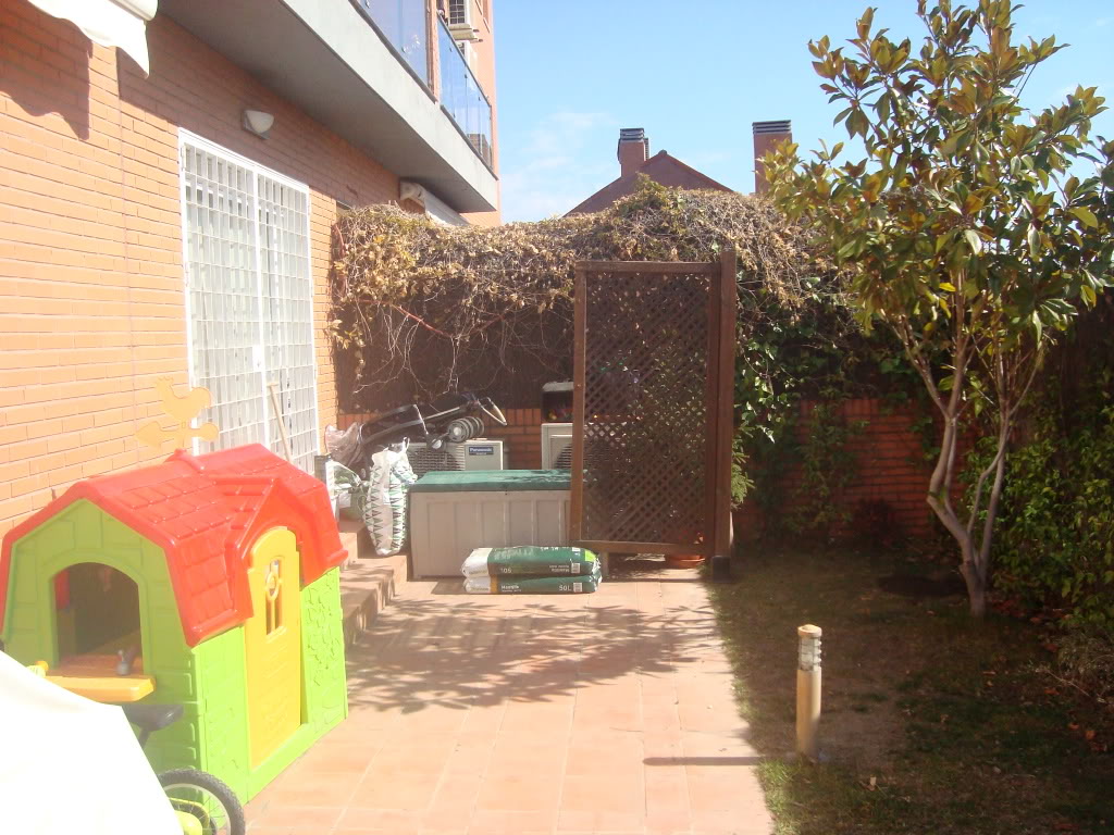 DSC02824.jpg
