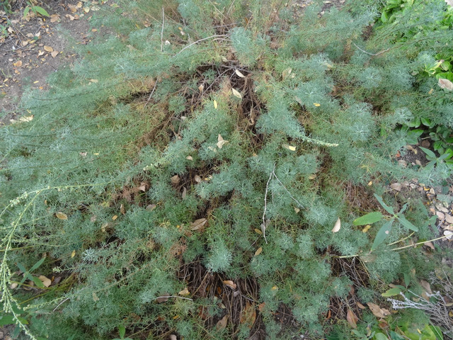 DSC02876.jpg
