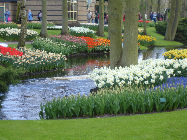 DSC02884.JPG