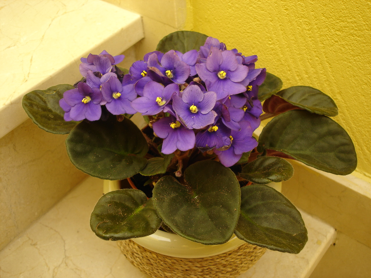 DSC02887.JPG