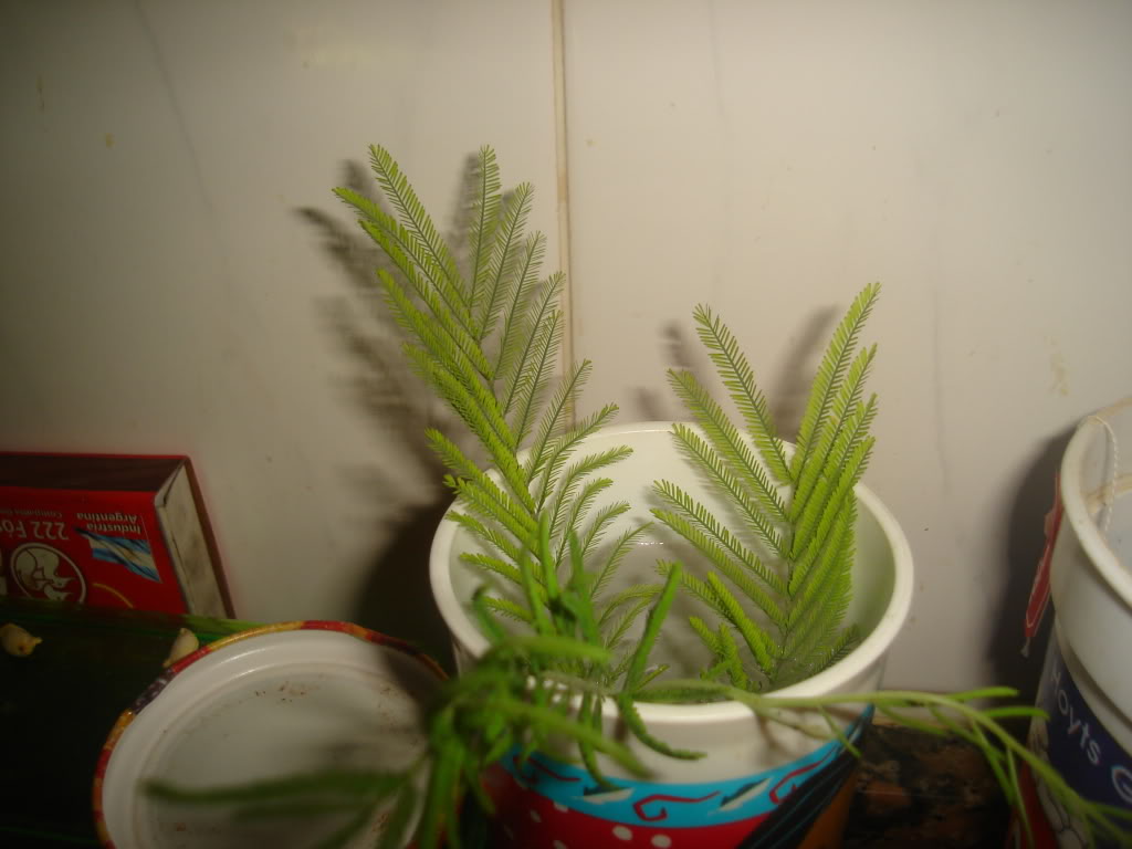 DSC02898.jpg