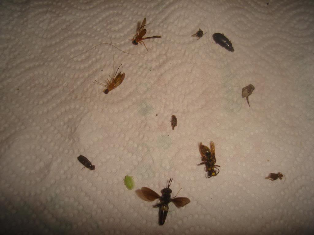 DSC03022.jpg