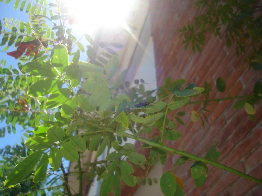 DSC03025.jpg