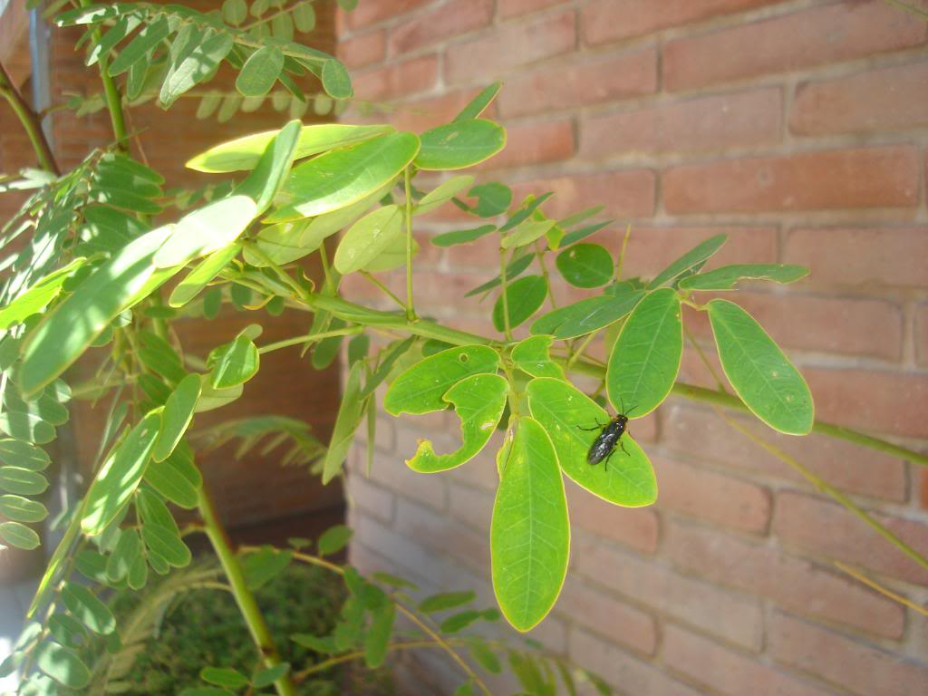 DSC03026.jpg