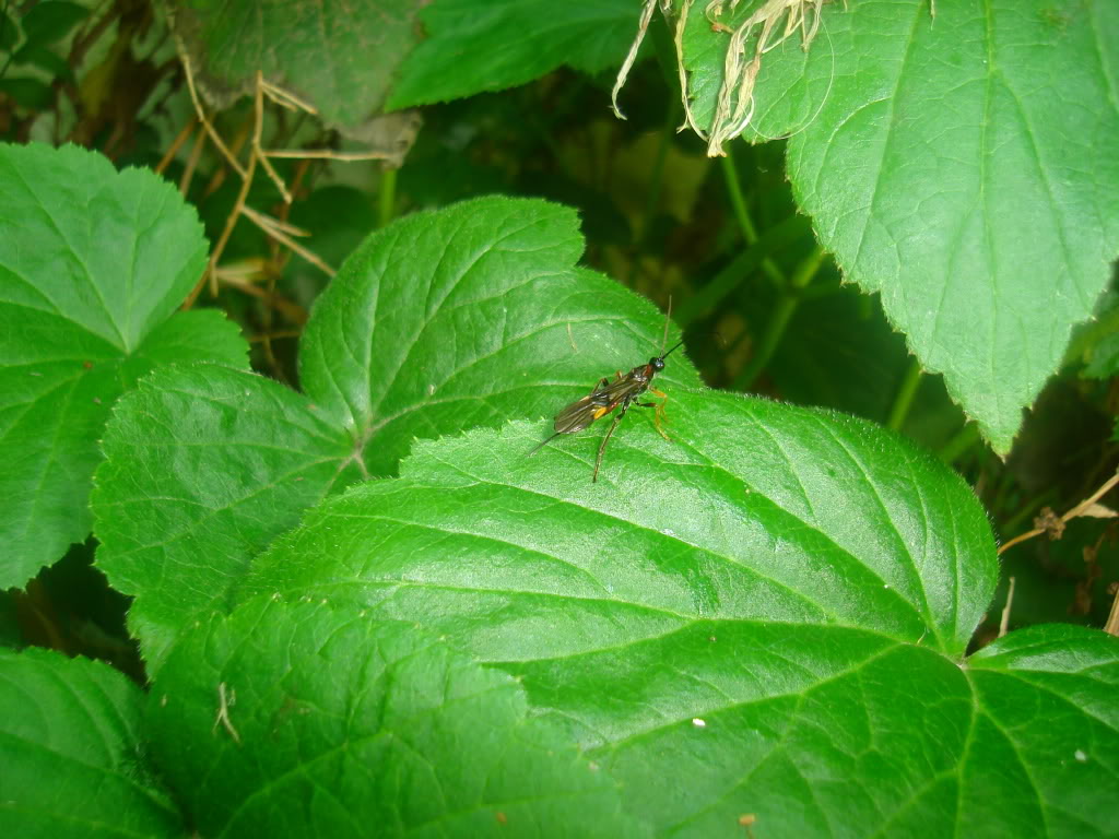DSC03035.jpg